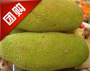  热带新鲜水果 泰国菠萝蜜 甜蜜肉厚 20-25斤左右 20省包邮