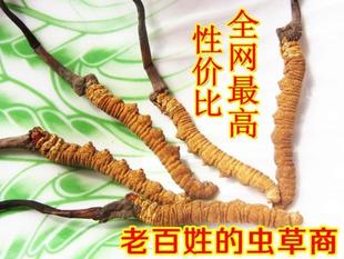  青海玉树正品冬虫夏草 5根/克 同仁堂规格 原产地批发 5克包邮