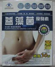 媒体热捧的好产品-益藻菌60粒-减肥不减胸 专柜正品 假一罚十