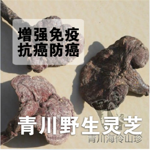  特级 野生 灵芝仙草增强免疫护肝 十佳网商赵海伶山珍 青川土特产