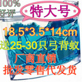 正品特大号蚂蚁宫房蚂蚁工坊工房家园 送蚂蚁 工坊挂件种子无蚁后