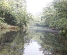 长兴川步长寿村 送水 水来自青花卡放蜜蜂土屋边上溪水 石缝水