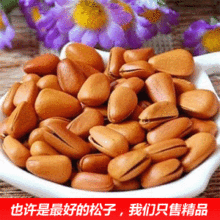 松子 东北野生开口松子 东北 特产 特级 420克装 货号500g kj