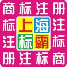 加急商标注册申请商城公司版权登记计算机软件实用新型外观专利