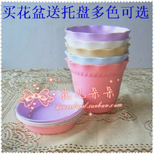 P塑料花盆 罗马之风花盆 园艺花盆 树脂花盆 月销千件!