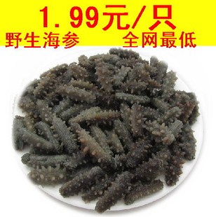  纯野生淡干海参（辽刺参）促销1.99元/只，1.5-2.2厘米天天吃海参