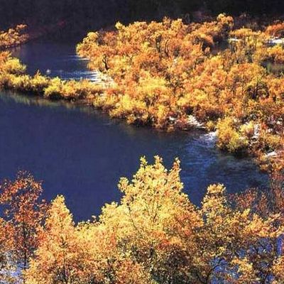九寨沟 四川成都到九寨沟旅游黄龙真纯玩汽车四日游违约赔1000 九寨沟 四川成都到九寨沟旅游黄龙真纯玩汽车四日游违约赔1000