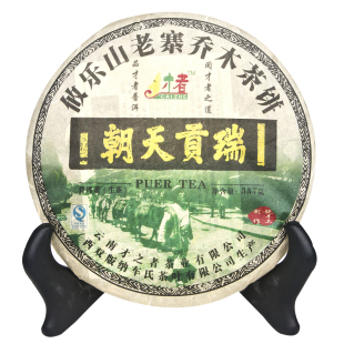  才者 攸乐乔木生茶 09年云南七子饼茶普洱茶叶生饼茶秒杀特价包邮