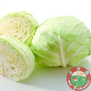  沃庄园卷心菜1kg+ 农家精品菜 新鲜蔬菜 今日秒杀菜市场生鲜超市