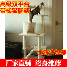 金冠高级双平台带阶梯猫爬架 猫抓板 猫玩具 宠物玩具 江浙沪包邮