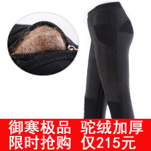 女士 远红外护膝护腰加厚驼绒棉裤保暖裤 羊绒裤羊毛裤 修身显瘦
