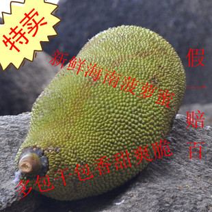  特价水果 新鲜海南菠萝蜜 树菠萝 干包菠萝蜜 香甜爽口 500G