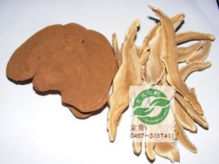  东北特产 大兴安岭 灵芝片 赤灵芝片  降糖保肝 抗衰老 提高免疫