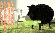 自产自销 特价酷炫新款 (小号)CD架水晶装饰品/书架/置物架羊多色