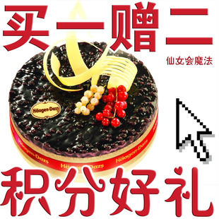  哈尔滨哈根达斯芝士蛋糕配送 常温哈根达斯生日蛋糕包邮 蓝莓芝士