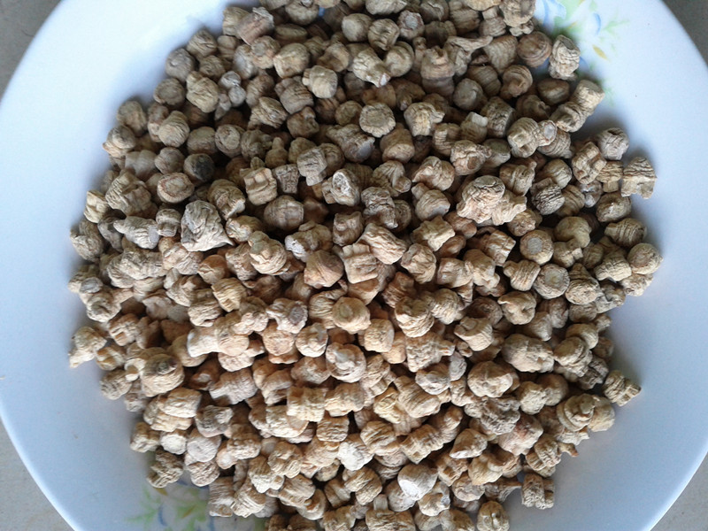 西藏特产 米参|一淘网优惠购|购就省钱