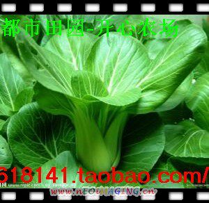 多种可选（1分3粒）- 白菜 茴香 苋菜 香菜 种子满49包邮