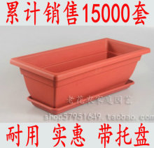 老花农-长条盆 阳台种菜盆 长方形花盆 带托盘 红绿50CM 550g
