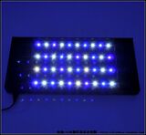 60CM SPS缸 40珠3W 20白20蓝LED灯具 海缸灯 LED珊瑚灯 水族灯
