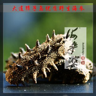  大连淡干海参刺参，獐子岛海参，自家海域野生海参110头，50g