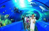 润杰便利店 青岛旅游 青岛海底世界门票60元（小通票） 冲三钻！
