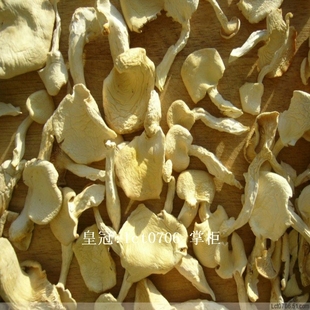  【皇冠】大兴安岭野生白油蘑 口感鲜嫩肉头 摘根特产干货 188包邮