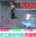 魔兽世界大灾变wow代抓捉猎人LR灵魂兽 稀有精英宠物宝宝BB幽灵兽
