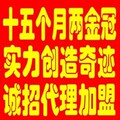 捷易通充值软件代理终生版/第五代充值软件300元虚拟自动充值软件