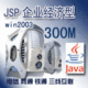 JSP企业经济型win2003+300M总空间