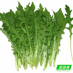  【爱蔬果】绿色新鲜蔬菜 芝麻菜 紫花南芥 芸芥 德国芥菜 北京送