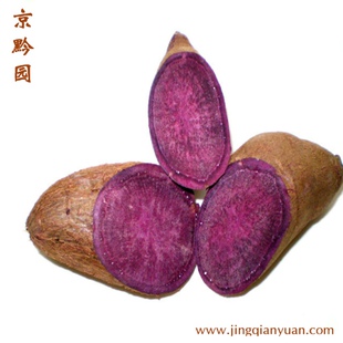  【京黔园】绿色优质蔬菜 紫薯 紫心薯 地瓜北京买菜当天送到家