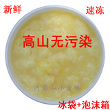 沂蒙山槐花王浆500g 高山 蜂王浆 新鲜 纯天然 正品 出口品质 【优惠价:138.00元 最近成交114笔】