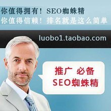 SEO优化|SEO工具|SEO外链工具|SEO推广|SEO蜘蛛精(推广必备)