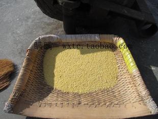  新糯小米农家自种有机糯小米大黄米端午节粽子米山西特产杂粮