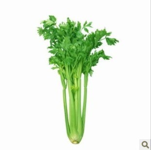  新鲜芹菜 香芹 新鲜有机蔬菜 无农药无激素无化肥 家庭宅配
