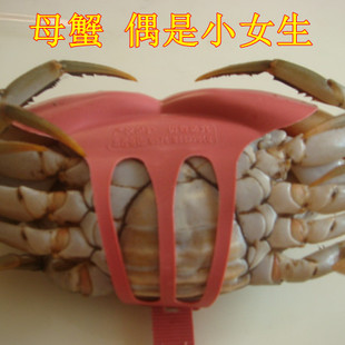  海鲜三门青蟹鲜活 母螃蟹海蟹一市产地直销 独家马甲扣裸蟹包续重
