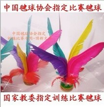 强力/正品批发/比赛专业毽子/大花毽/彩色/太仓新健牌毽球/2008