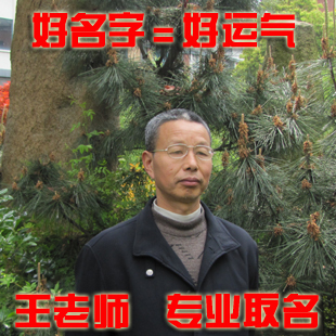 纯人工取名 28年经验 专业起名 宝宝起名 婴儿起名 起名字