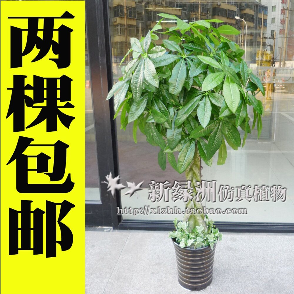 新绿洲仿真植物 绿植招财风水树仿真树客厅 假树 辫子发财树疯抢