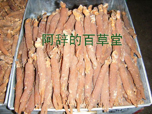 Edge of red ginseng Seven students 18-20 branch 500 gram Changbai Mountain Ginsengin the Traditional nourishing food , Ginseng tonic , Ginseng/Garden ginseng category - from Buy2taobao.com to provide professional Taobao agent buy service