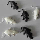 taobao english 12877707267