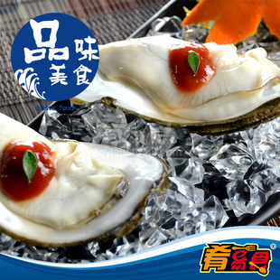  超大纯净鲜活冰岛新鲜生蚝 买五送一海鲜牡蛎海蛎烧烤