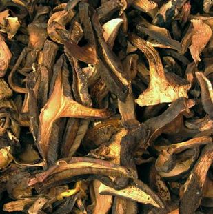  新货 丽江雪山野生牛肝菌  美味黑牛肝菌  250克 干货 云南土特产