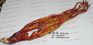  灵芝草 佛手灵芝 东北神草灵芝精选成熟佛手灵芝 泡酒首选 100克