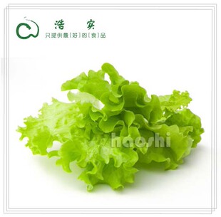  有机生菜 上海[浩实]精品绿色蔬菜多购享更过优惠折扣