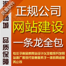 定制网站建设 做网页设计制作 网店模版教程一条龙全包服务