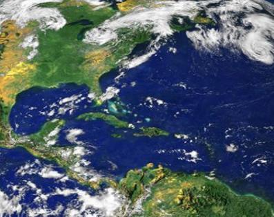 网店,网络服务,个性定制,软件教育培训医心医译