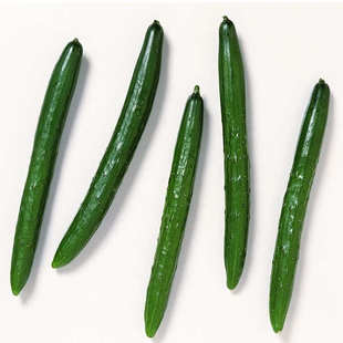  沃庄园精品黄瓜1斤约2根,新鲜蔬菜调理肌肤，今日特价秒杀菜市场