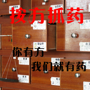  中药店 按方抓药 同仁堂华记 实体店 照方抓药 抓中药 中药材批发