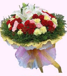 ΰ��İ� -99���ɫ����ܰ �ٺ� ĸ�׽��ʻ� ����ʻ� ����